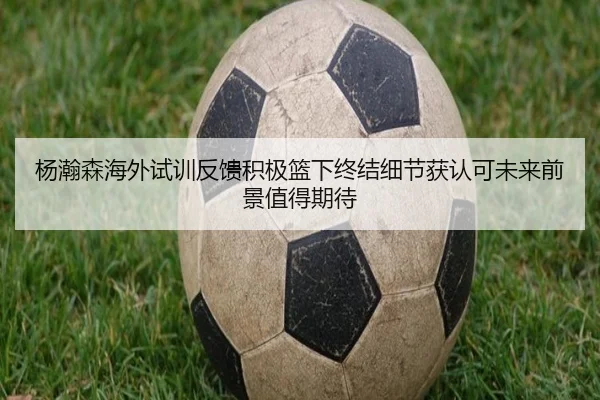 杨瀚森海外试训反馈积极篮下终结细节获认可未来前景值得期待
